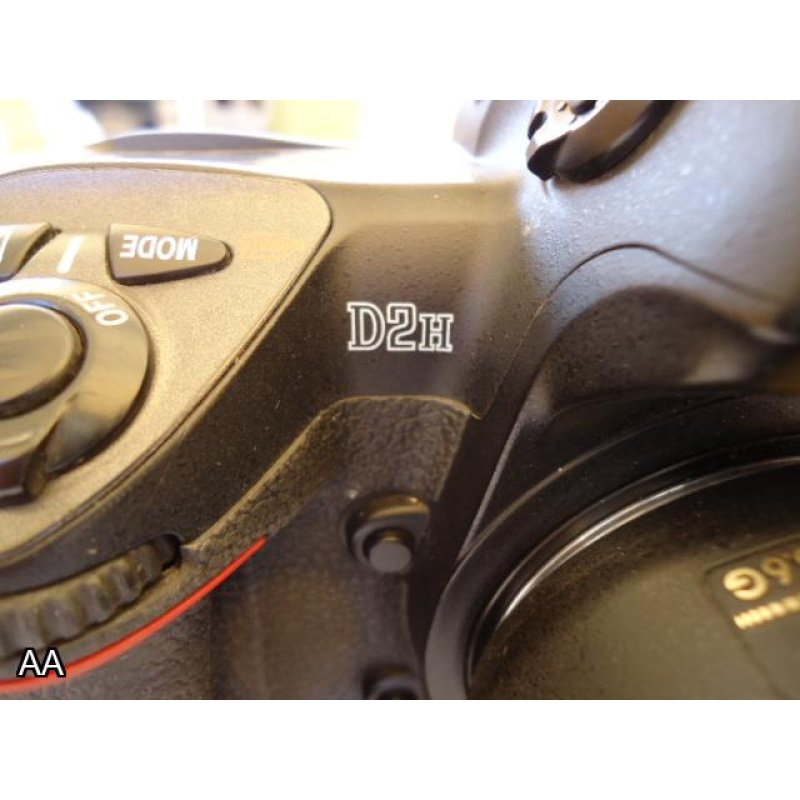 NIKON D2H #2